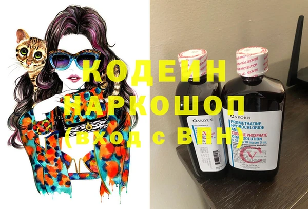 дживик Киренск