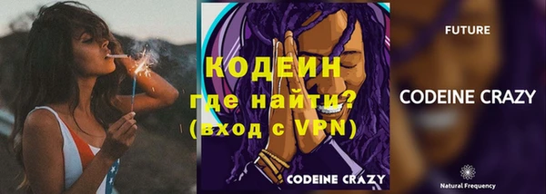 дживик Киренск