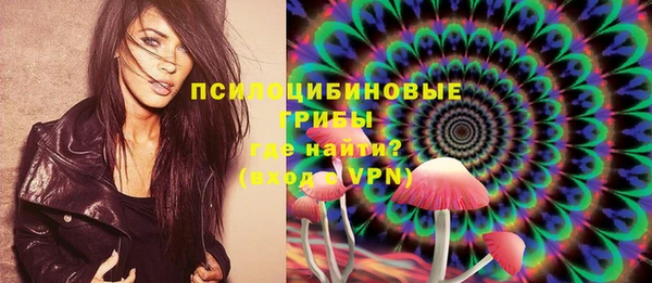 дживик Киренск