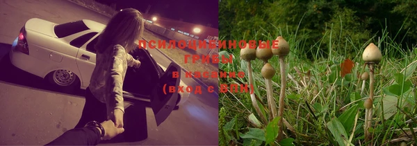 дживик Киренск